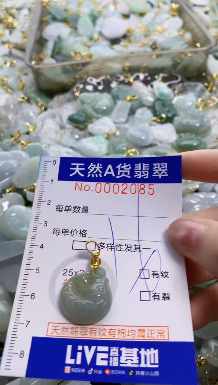 颈饰未镶嵌翡翠纯天然a货翡翠