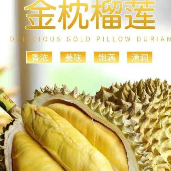 甘肃省包邮【A级】新鲜火山岩金枕榴莲约2-12斤