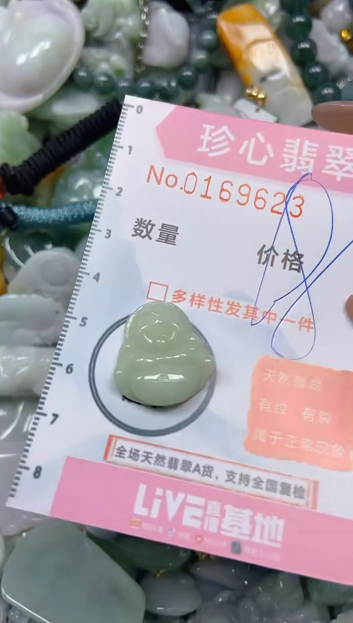 【闪购商品】翡翠颈饰未镶嵌闪购0169623