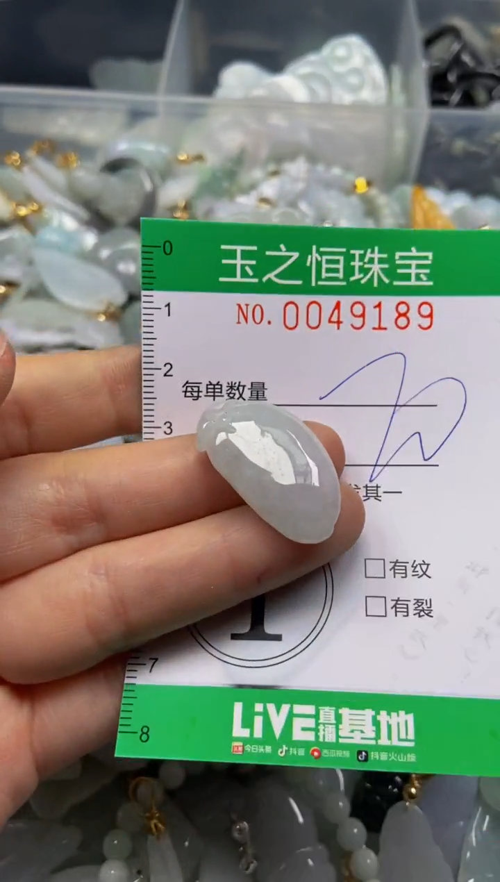 【闪购商品】翡翠颈饰未镶嵌闪购0049189