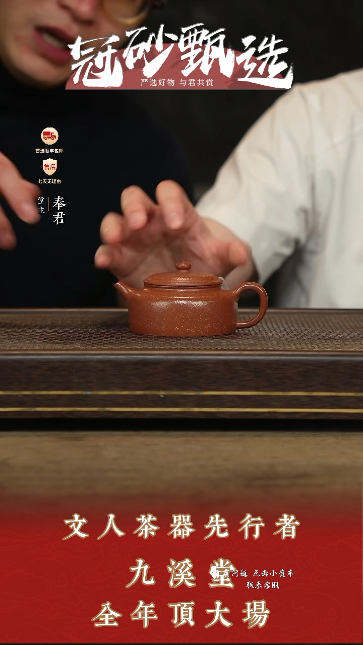九溪堂壶紫砂茶壶s12