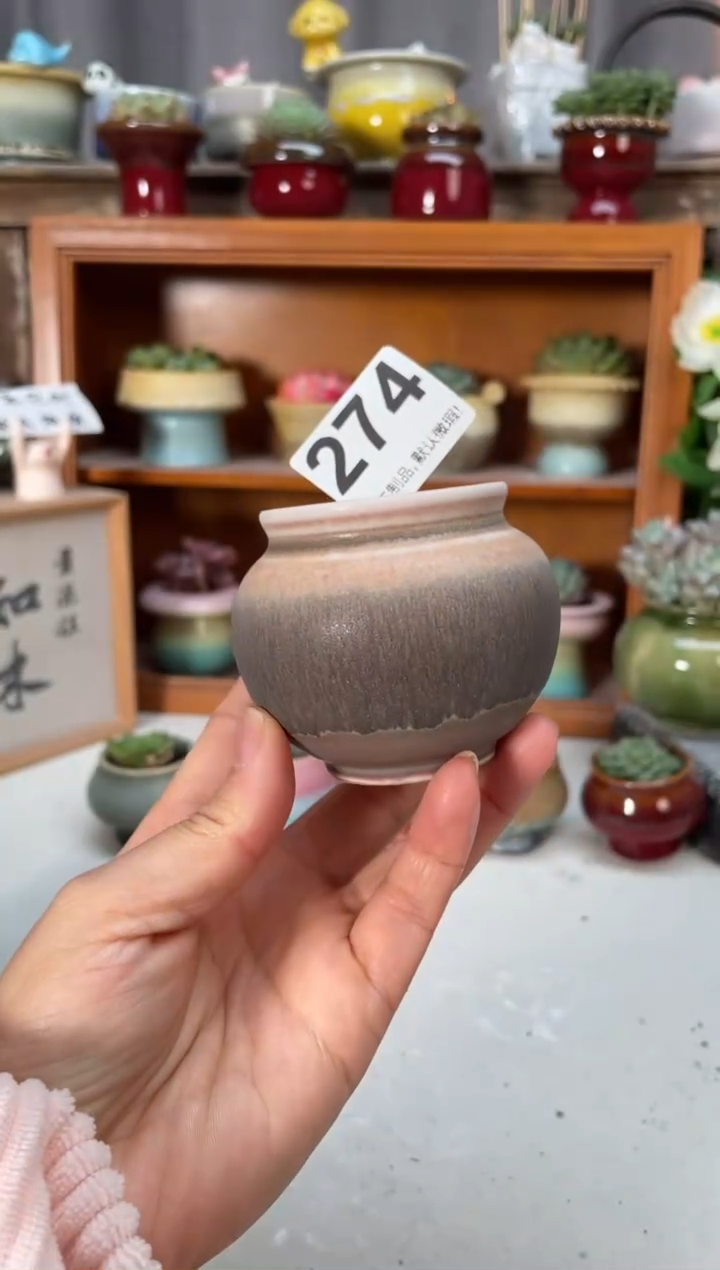 瓷片274小芳直播编号