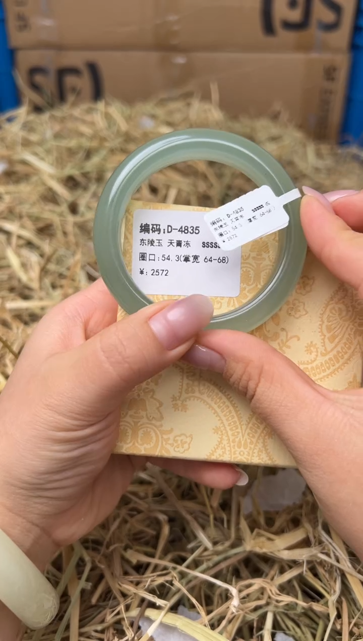未镶嵌手镯石英质玉D-4835