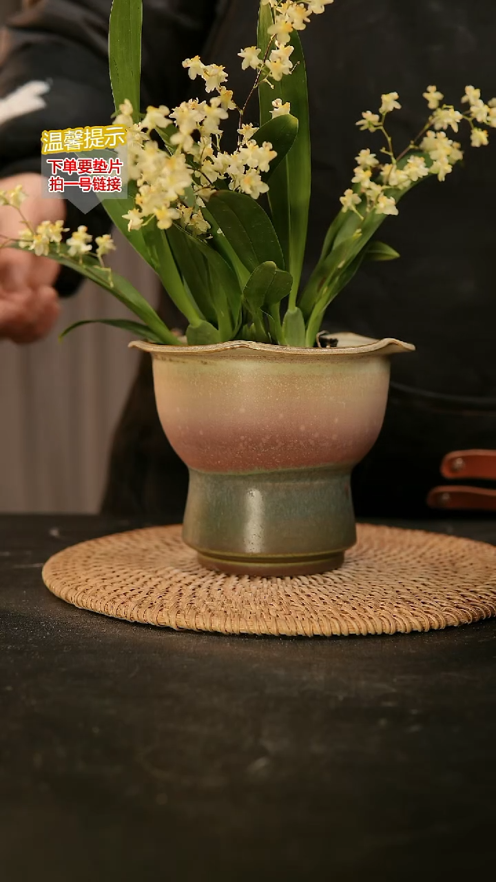 瓷片491内口径约11-12 外高约11-12