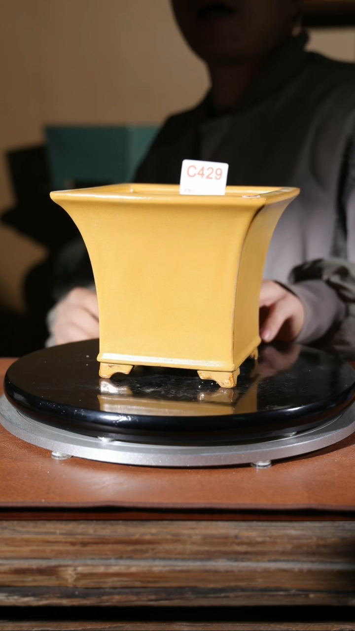 【闪购商品】红陶429