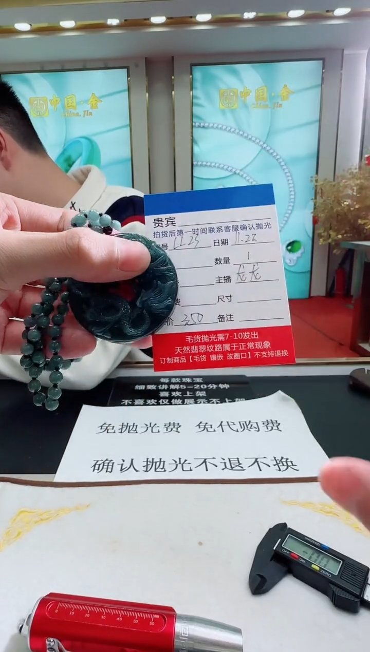 未镶嵌定制翡翠LL23翡翠吊坠赠珠链-多样性发其一