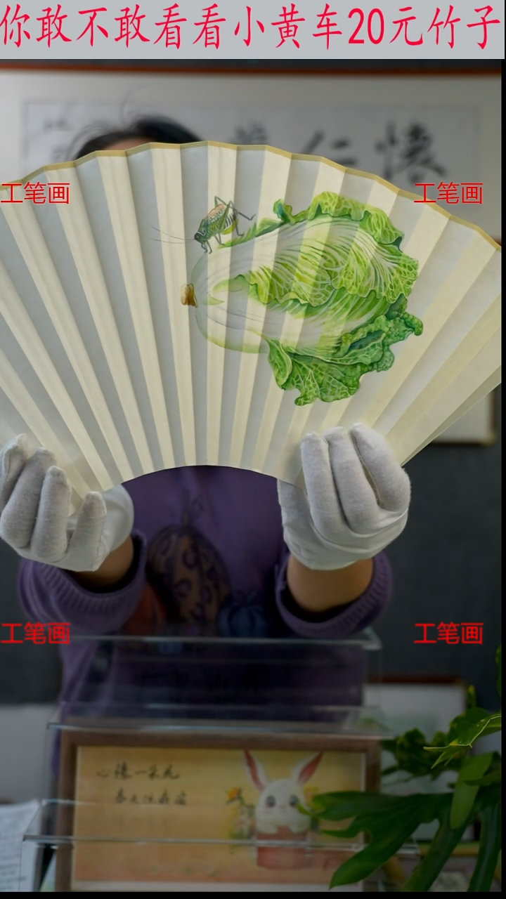 扇子大*里百菜蝈蝈951620  白菜一边一鸣惊人