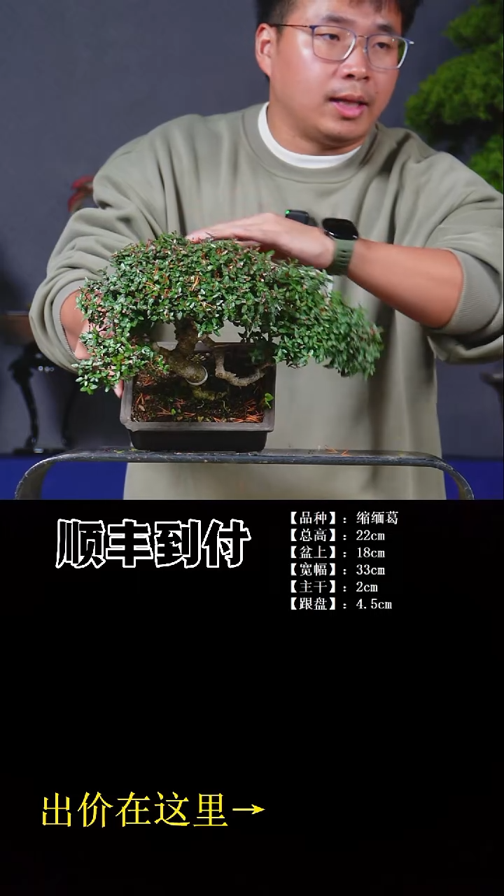 以实际为准缩缅葛bubaoyou