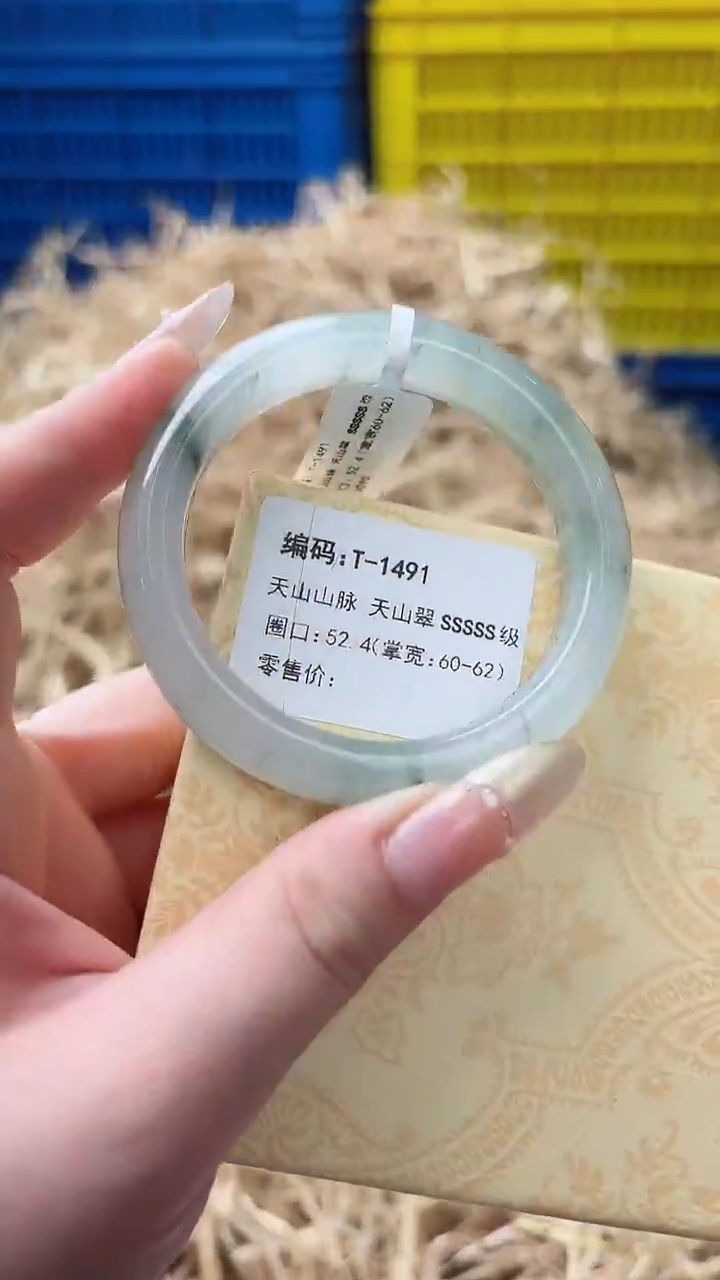 未镶嵌手镯石英质玉T-1491