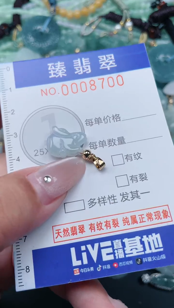 翡翠未镶嵌颈饰.0008700