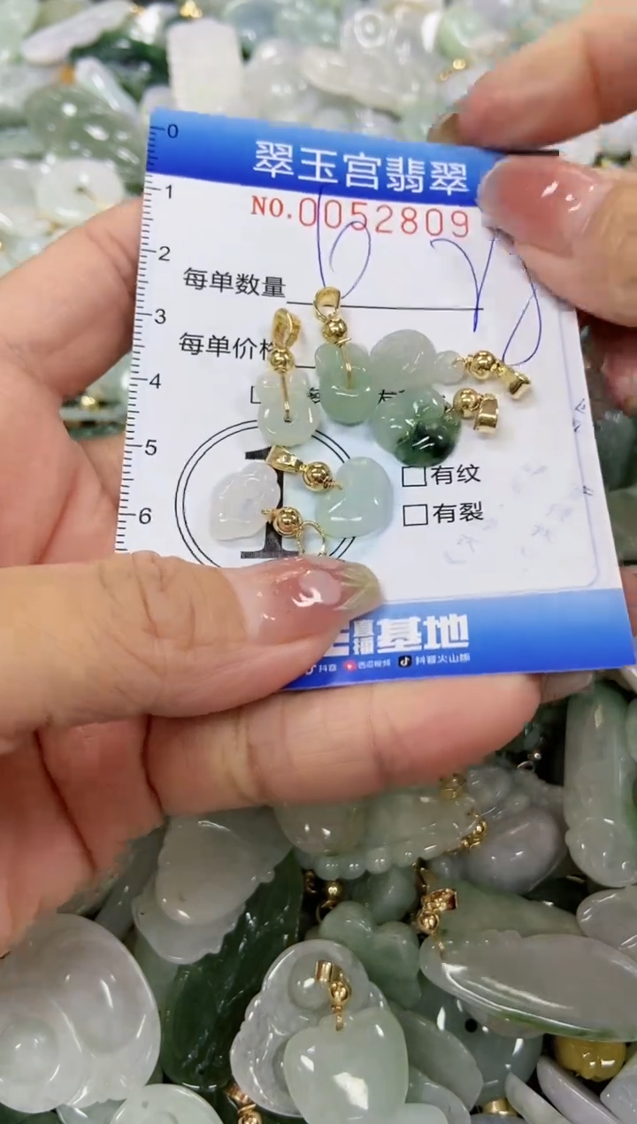 【闪购商品】翡翠颈饰未镶嵌闪购0052809