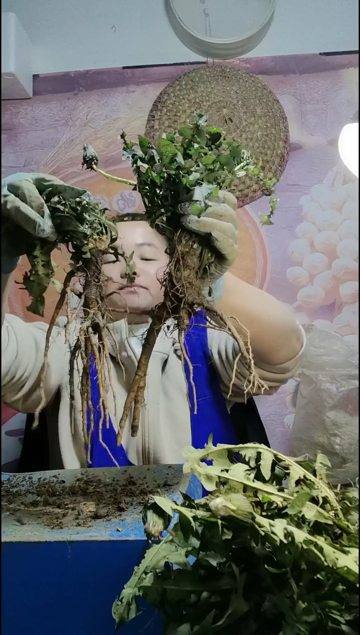 少量花朵（建议范围：2朵-5朵 或40%以下）狼**下蒲公英