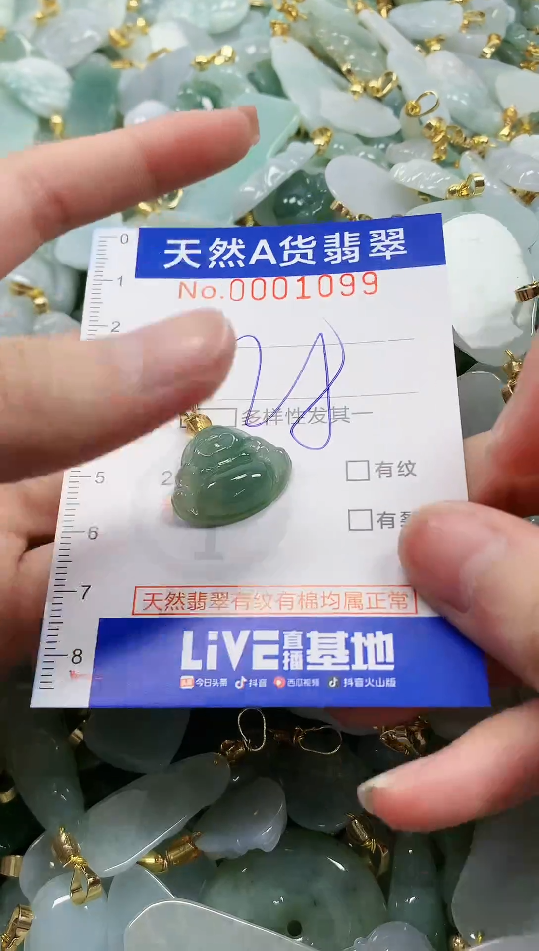 颈饰未镶嵌翡翠纯天然a货翡翠