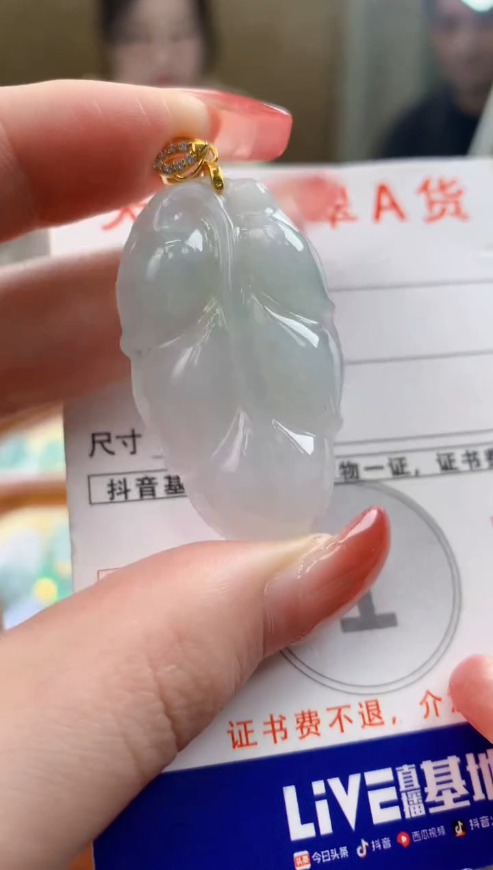 颈饰未镶嵌翡翠天然A货翡翠挂件