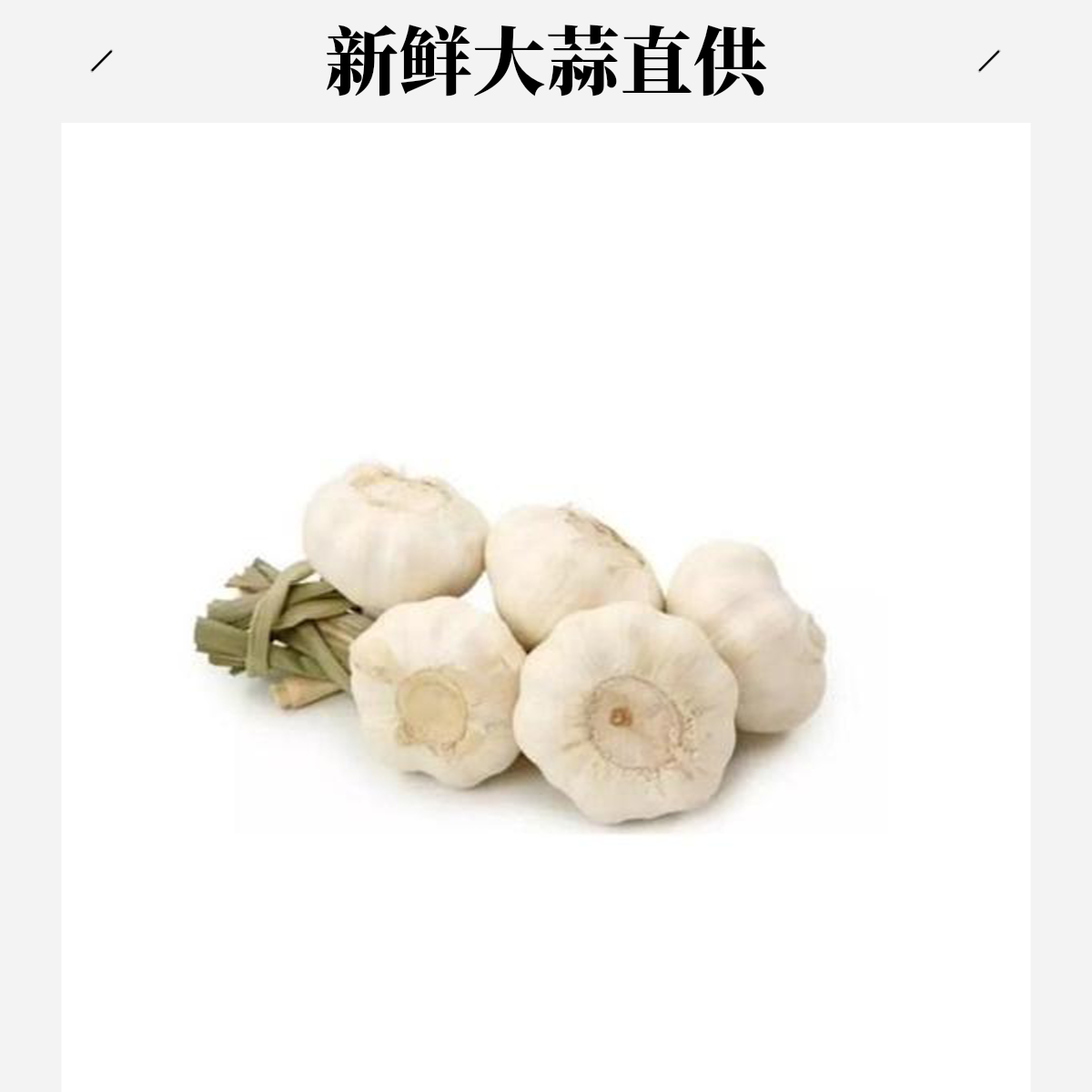 精品大蒜500g±20g（10-15头）
