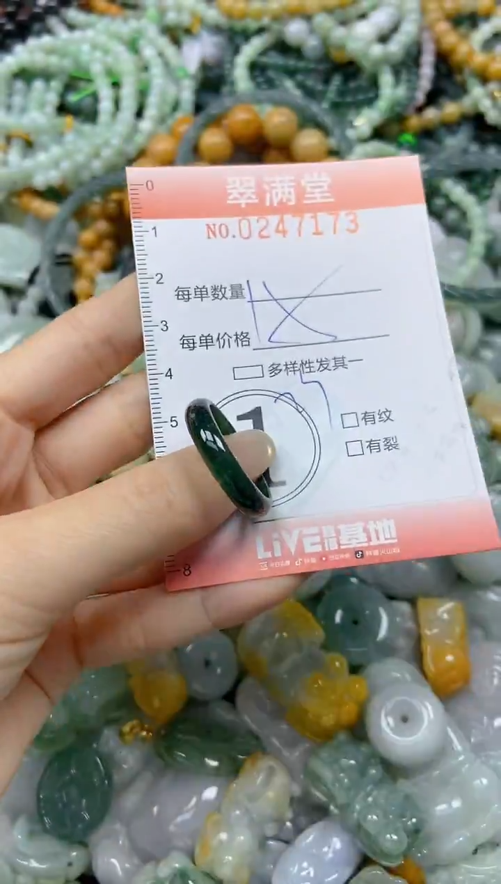 未镶嵌挂件翡翠闪购0247173
