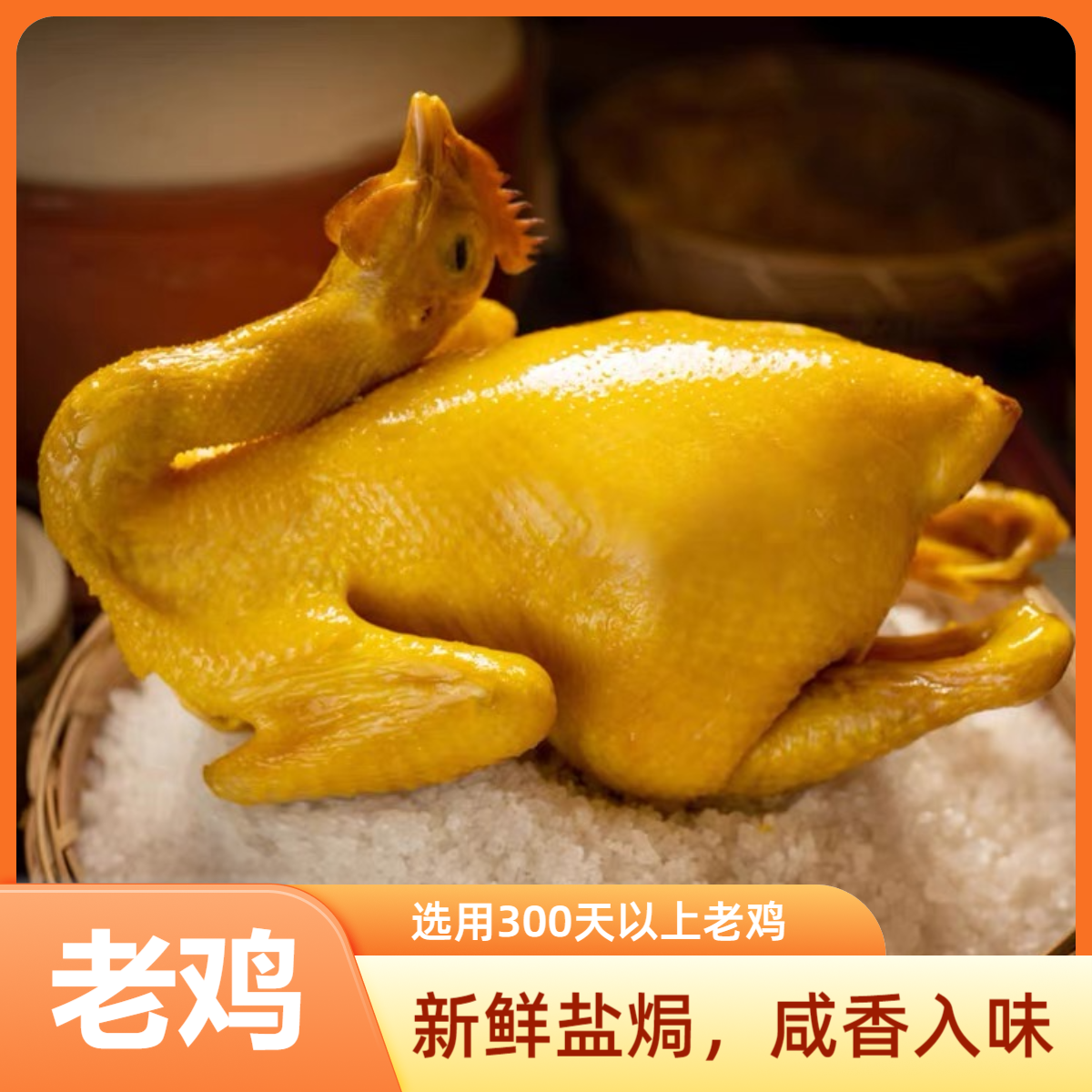 盐焗老鸡散养老鸡【3只装合计4.2斤-5.1斤】古法手撕咸香鸡顺丰冷链