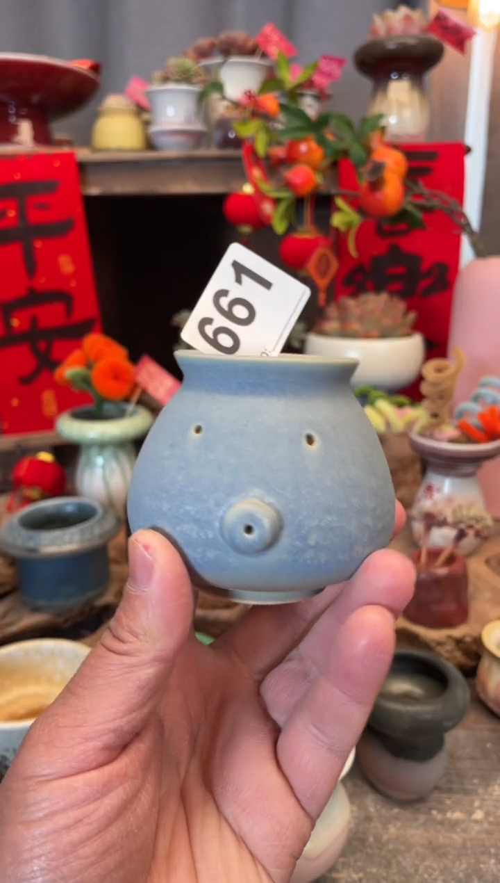 【闪购商品】摆件661知木小芳花盆