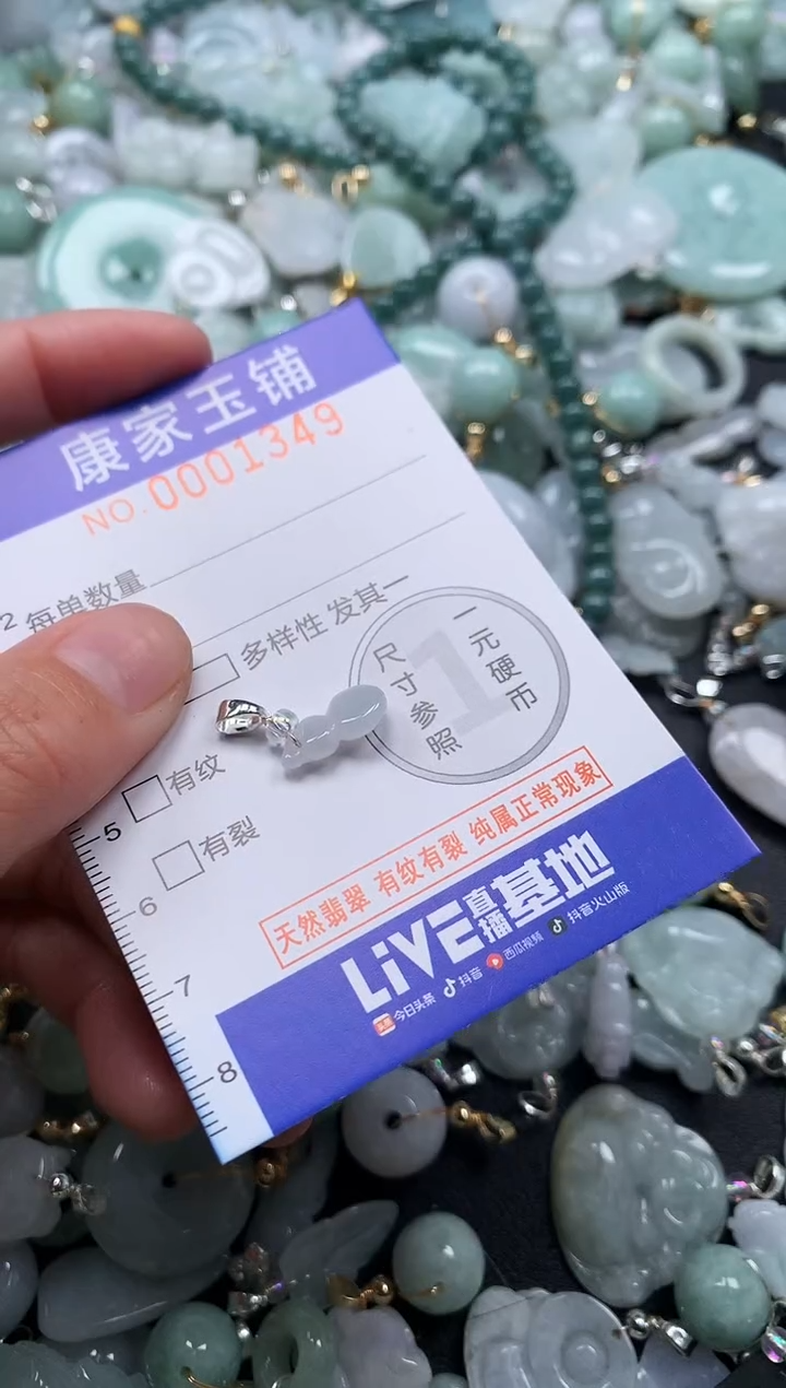 颈饰未镶嵌翡翠1349