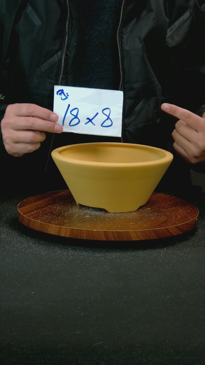 【闪购商品】紫砂G112