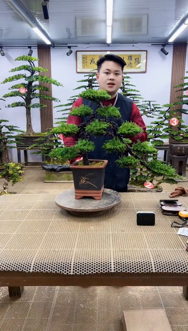 【闪购商品】00000000