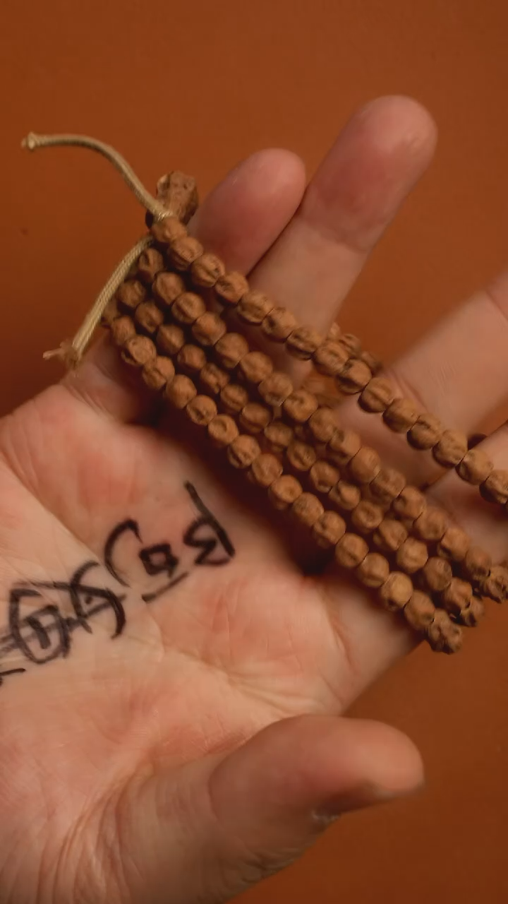 【闪购商品】柏香籽/百香籽吊坠TG0194