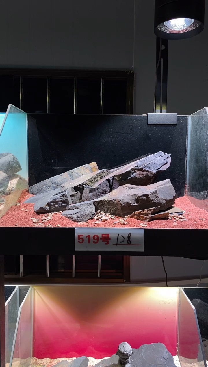 519号鱼缸造景（不含底砂）
