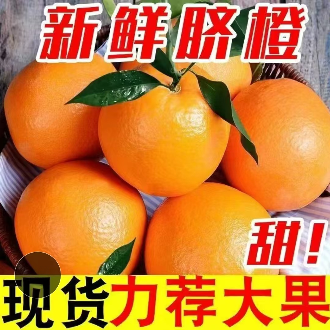产地直销新鲜现发脐橙新鲜水果皮薄肉厚鲜甜多汁