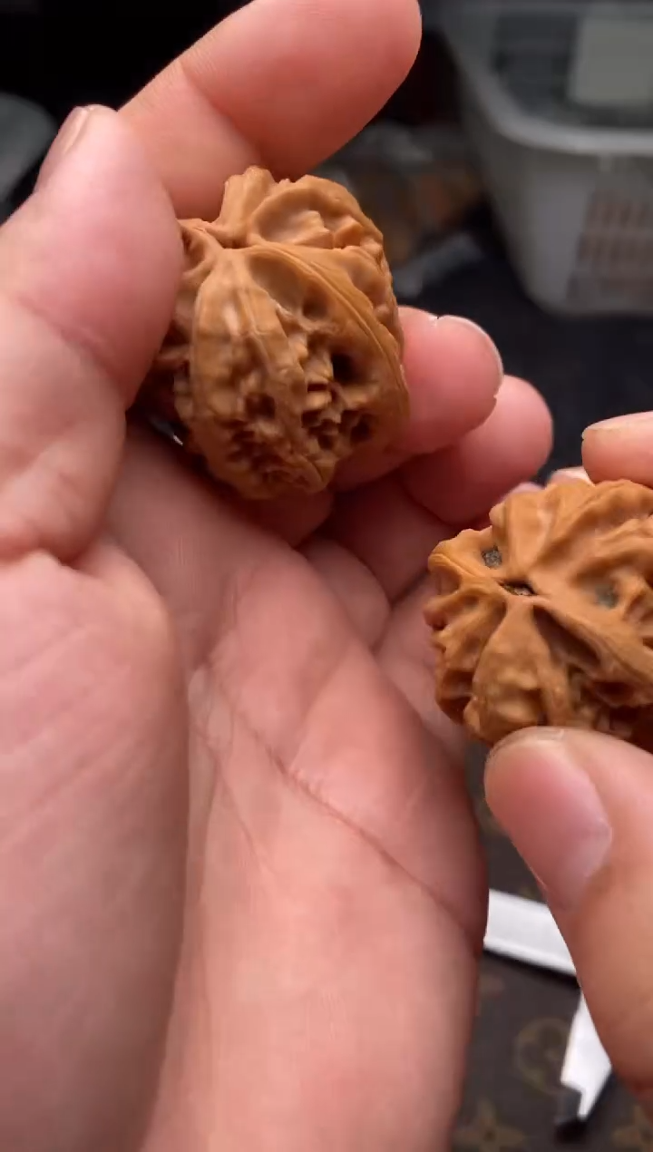 把件文玩核桃b161号35尺大沽石