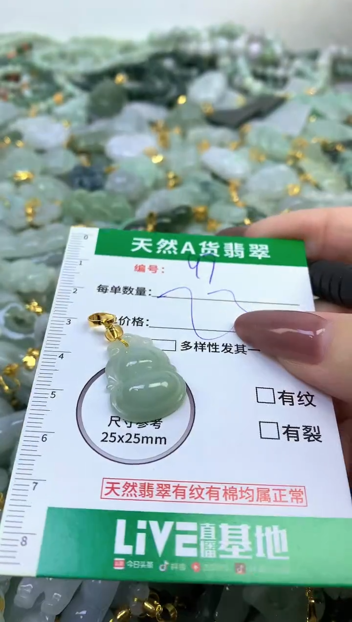 颈饰未镶嵌翡翠纯天然缅甸A货翡翠
