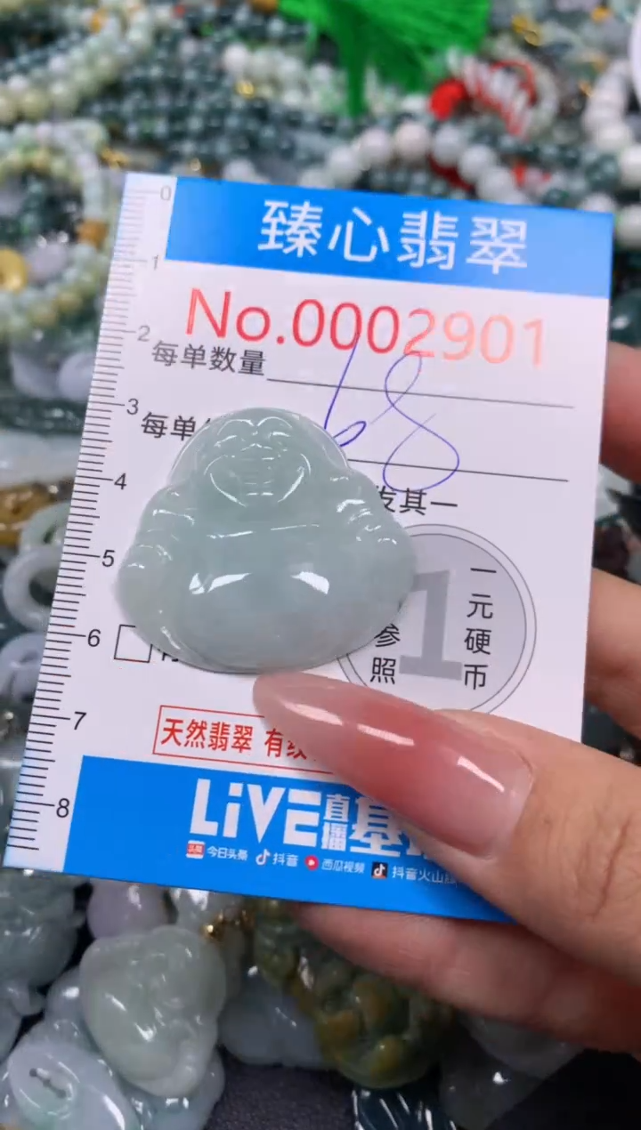 【闪购商品】翡翠颈饰未镶嵌含绳0002901