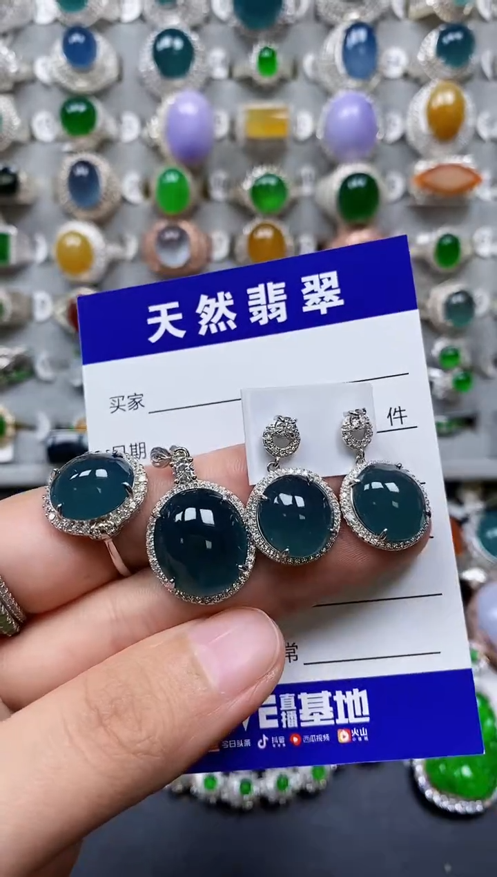 【闪购商品】翡翠颈饰银S925镶嵌0150