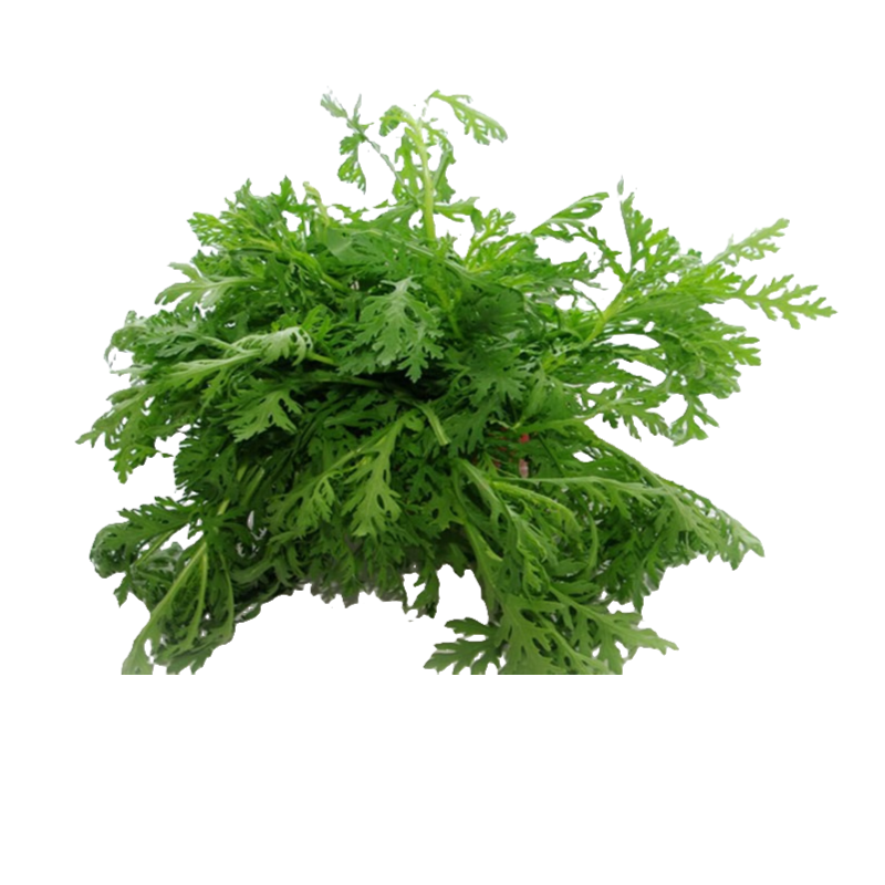 【东胜同城】茼蒿500g（福利）