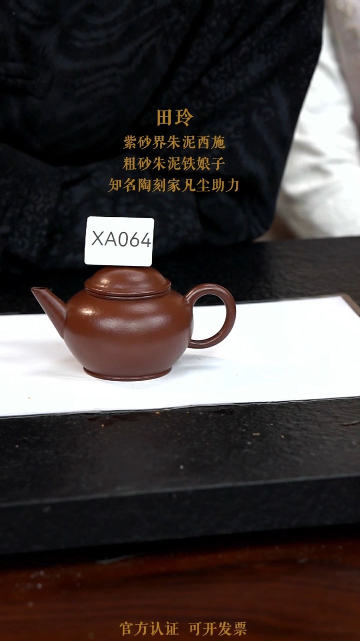 【闪购商品】紫砂茶壶XA064-0114LT