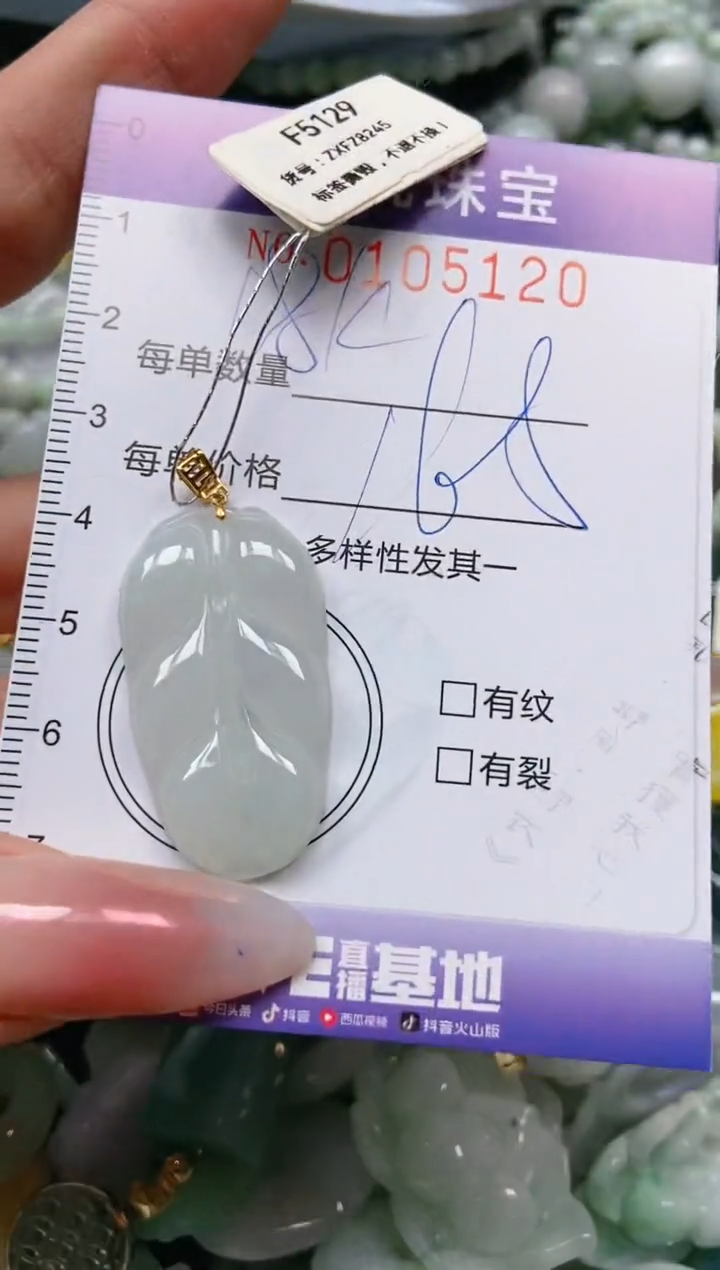 【闪购商品】翡翠颈饰未镶嵌闪购0105120