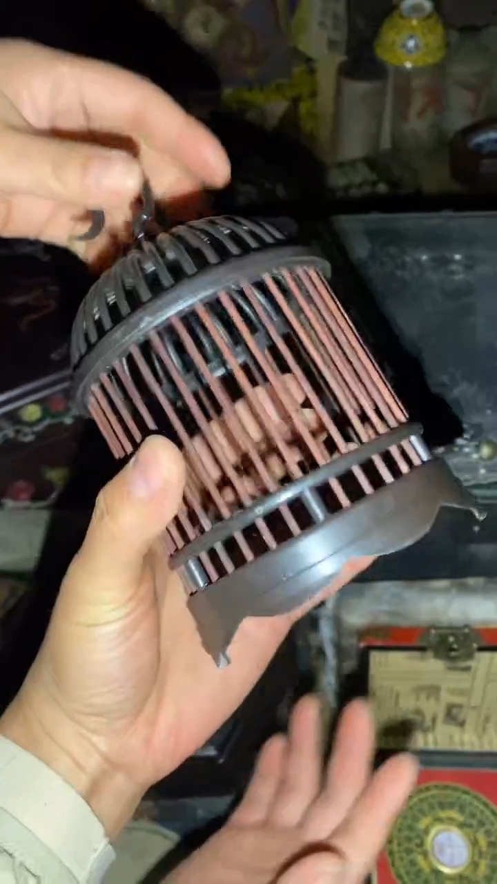 香榧木一一一一一一一一福利