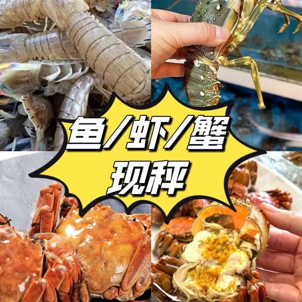 【限福建省内购买】鱼虾蟹直播现称组合2