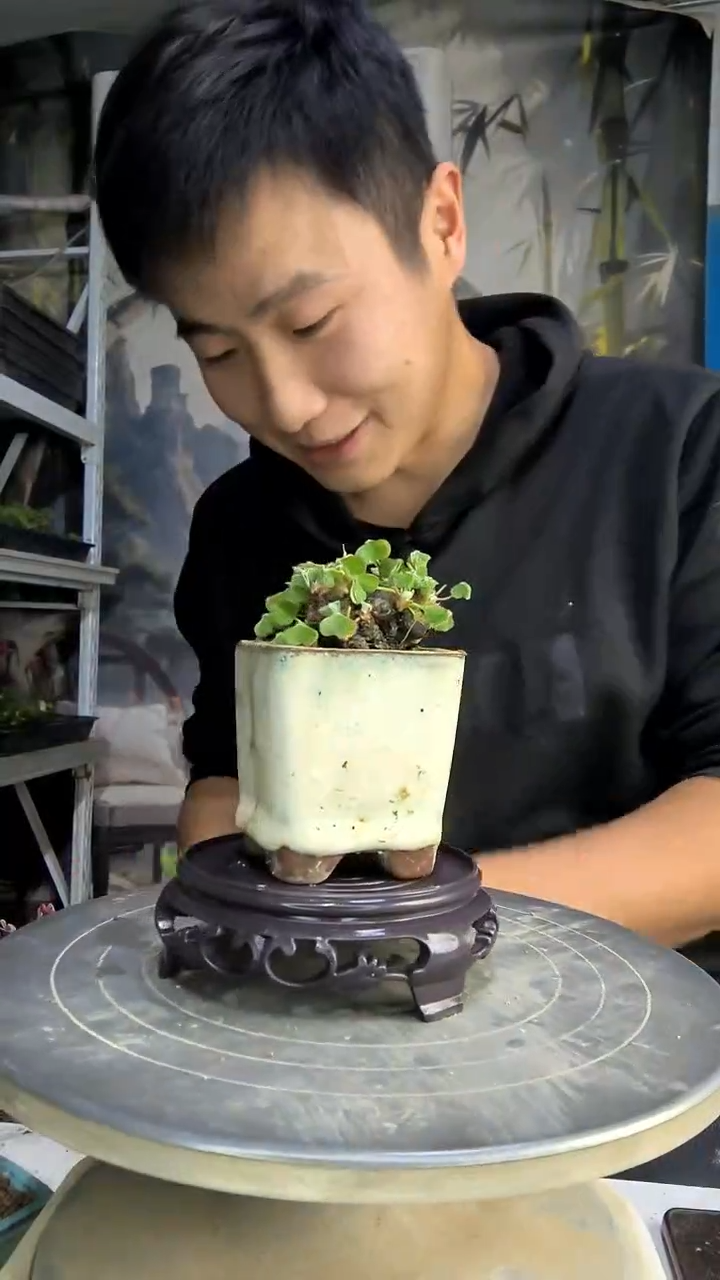 维**?中青园艺一物一拍花297