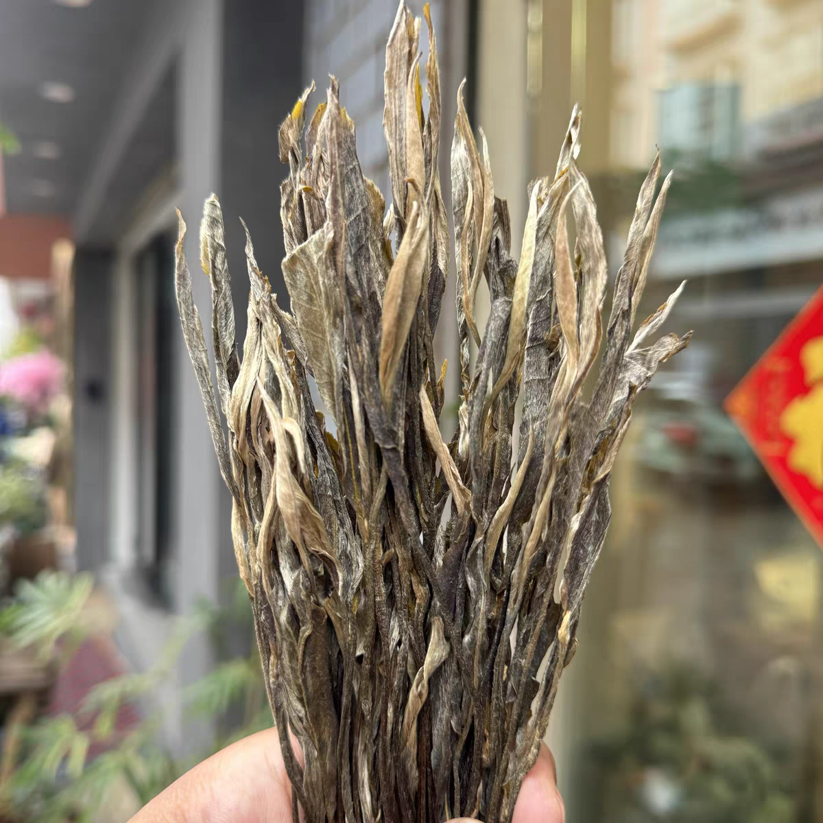 云南普洱生茶把把茶手工理条茶