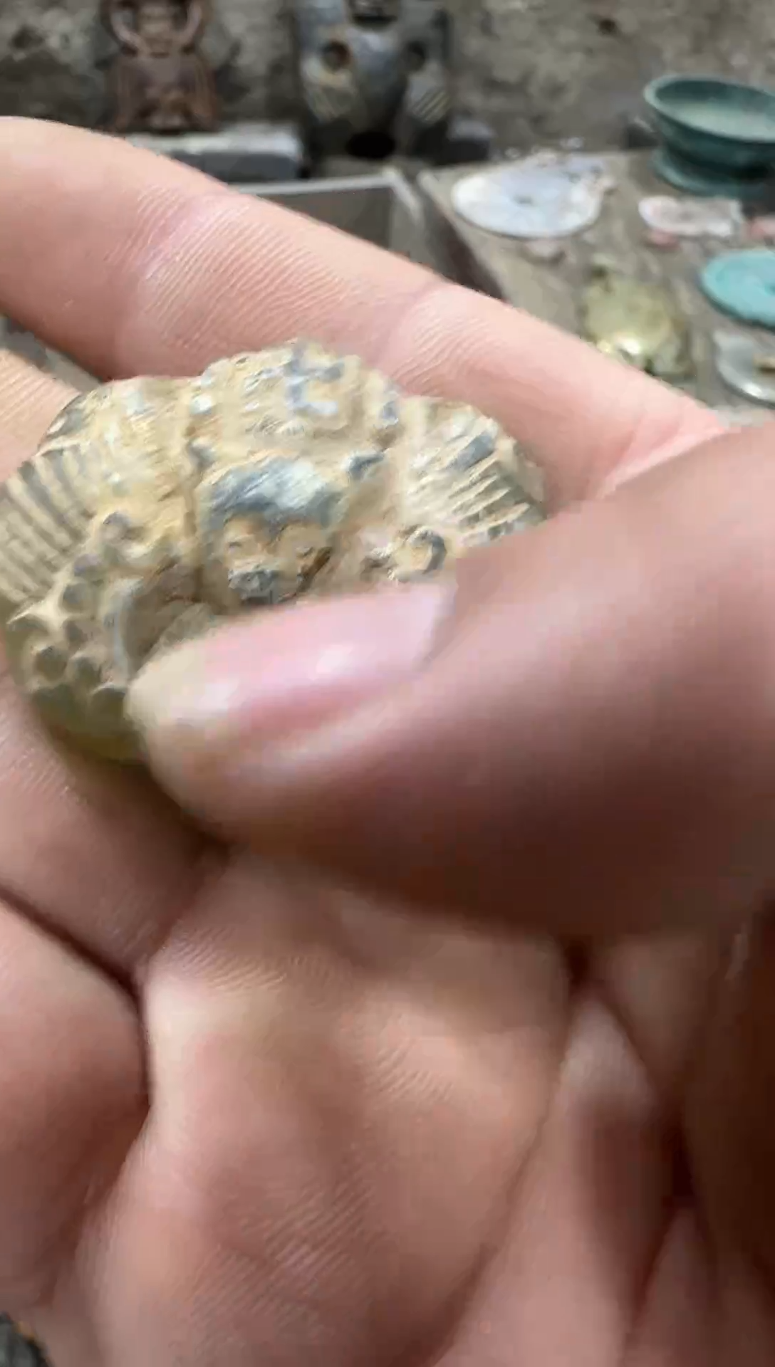 未镶嵌和田玉（糖玉）挂件1