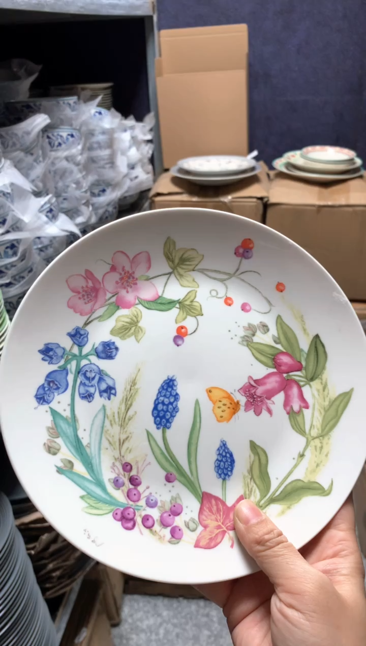 【闪购商品】瓷片陶瓷原单CC459餐具1个8寸