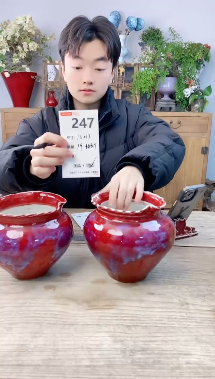 小玩子花盆直播号247