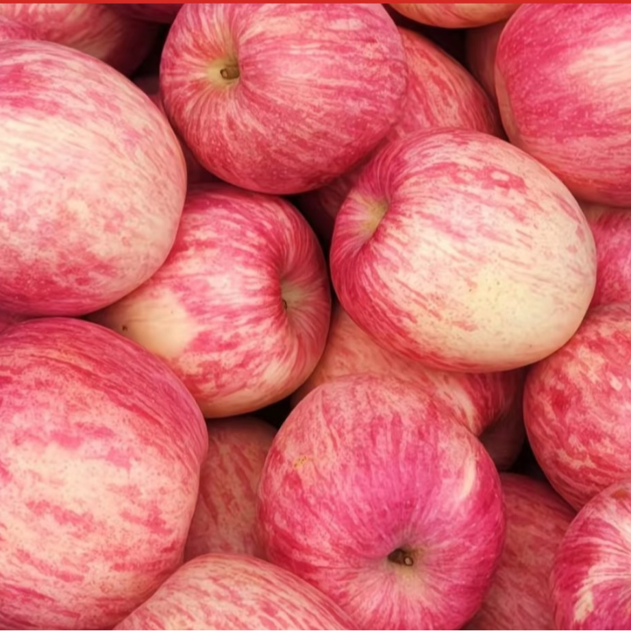 【条纹红】静宁高山红富士苹果