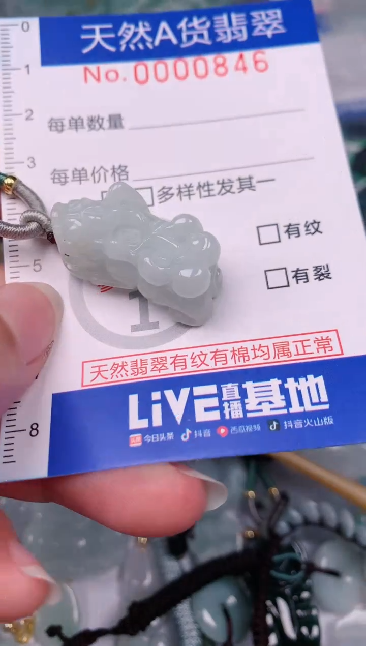 【闪购商品】翡翠颈饰未镶嵌00000846