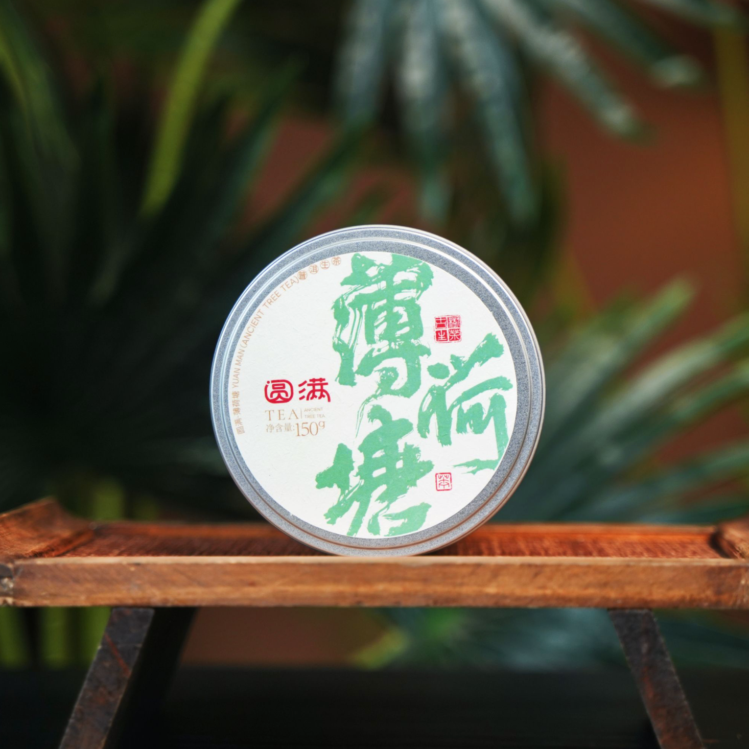 普洱生茶 薄荷塘 跨年活动