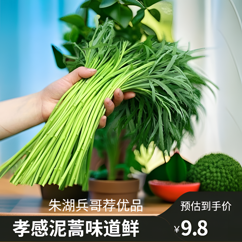 【朱湖兵哥】推荐孝感泥蒿