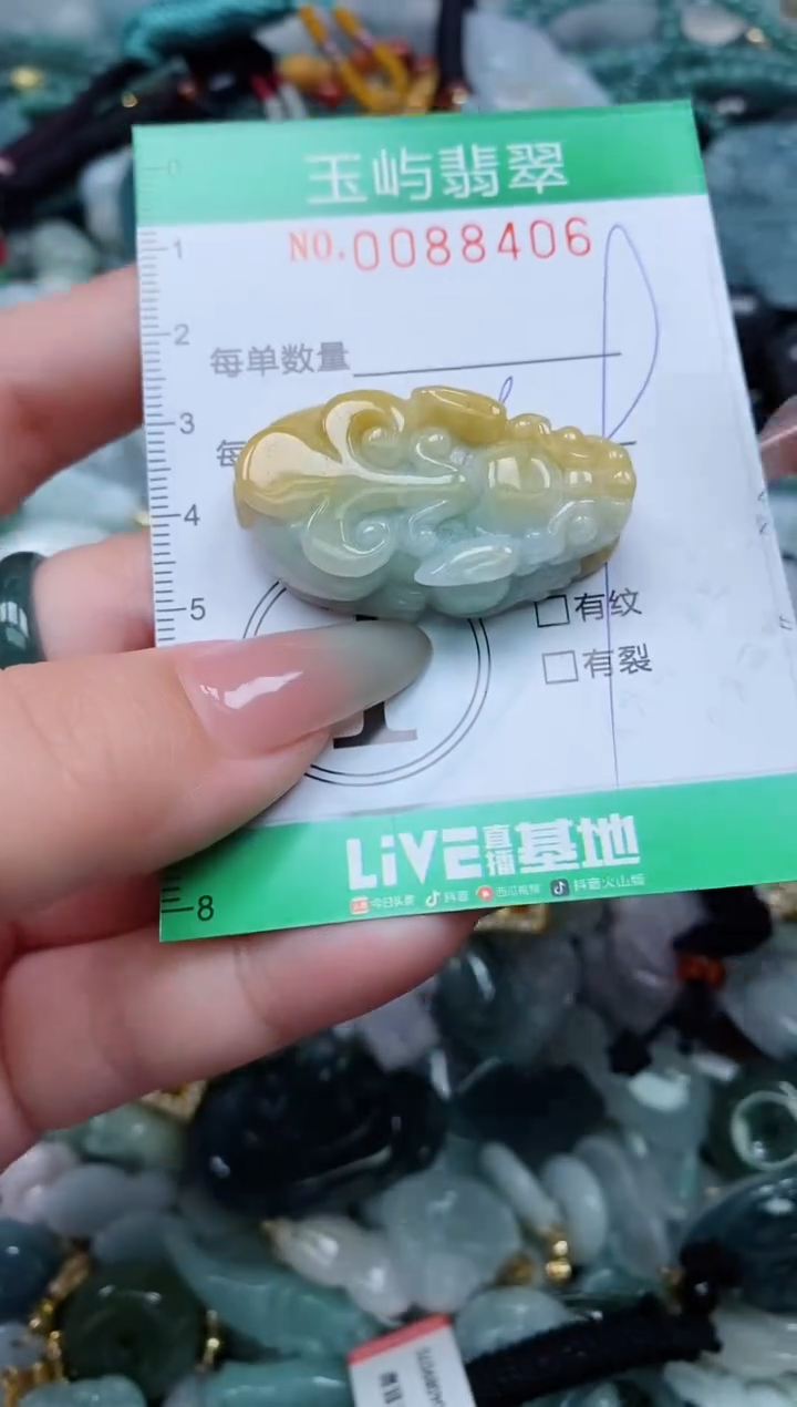 【闪购商品】翡翠颈饰未镶嵌闪购0088406