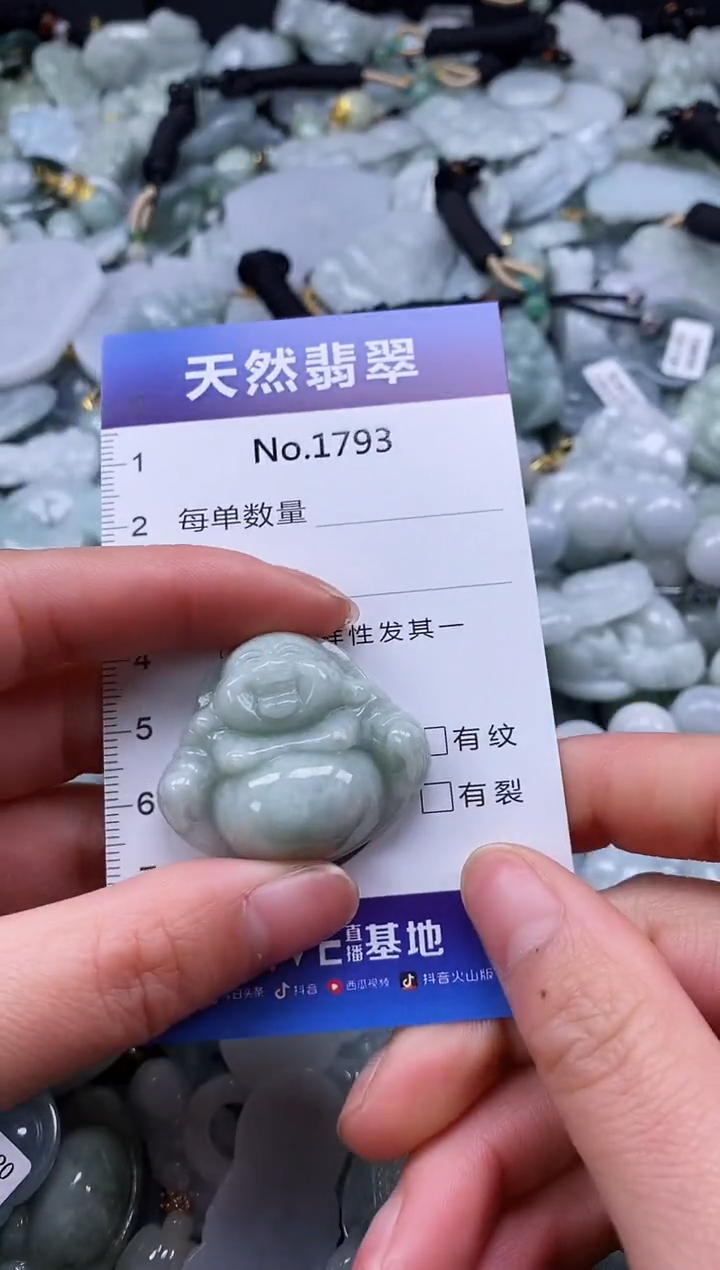 【闪购商品】翡翠颈饰未镶嵌缅甸A货翡翠1793