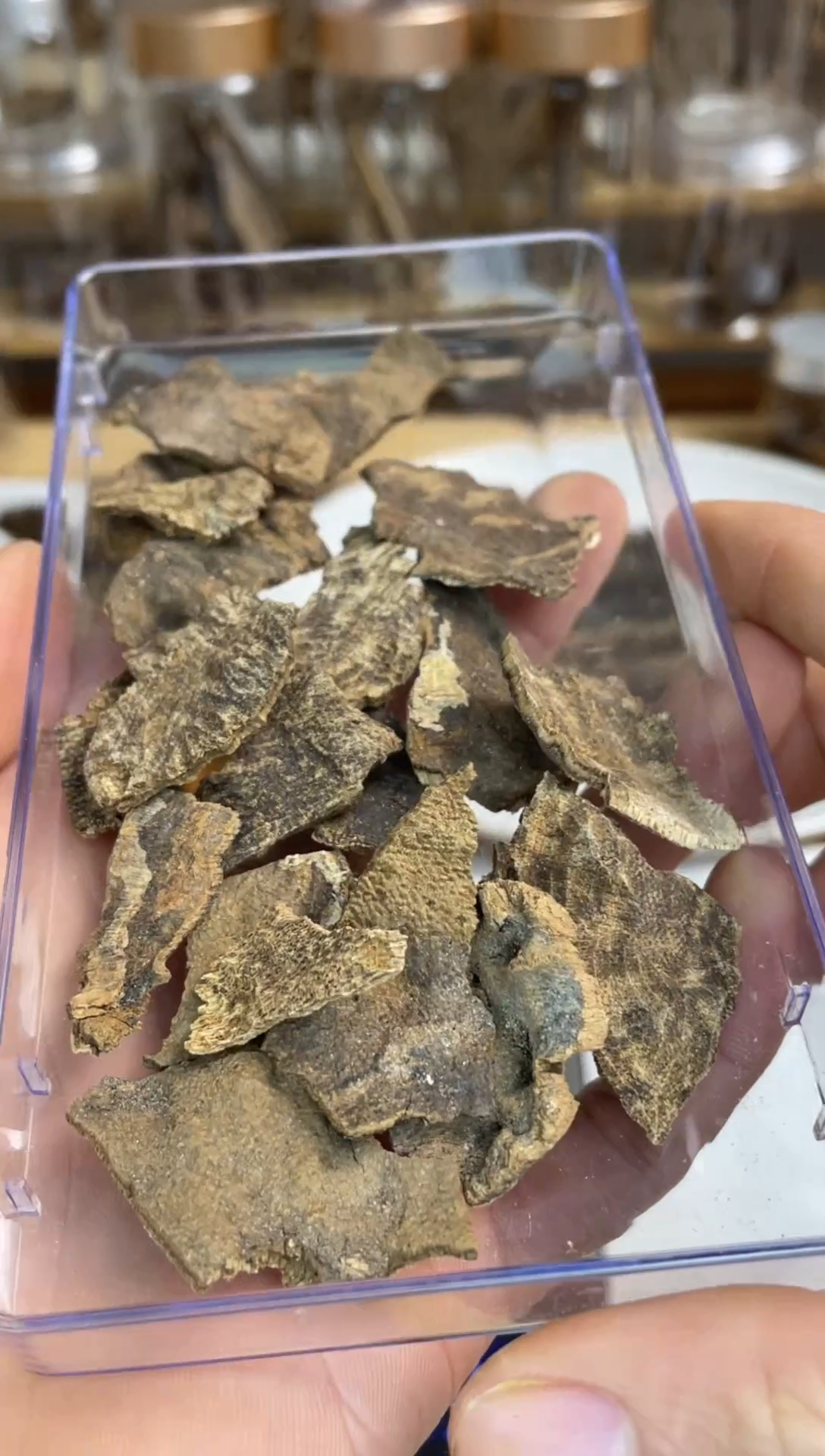 沉香沉香碎屑海南沉香包头碎料10克