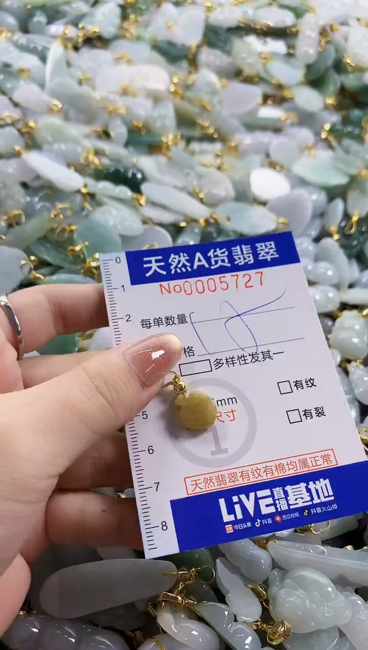 颈饰未镶嵌翡翠天然A货翡翠